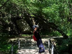 -少华山国家森林公园