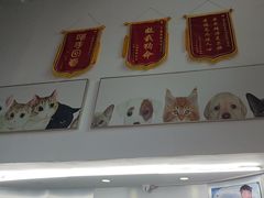 -爱侣宠医·鹦鹉专科·小型哺乳类·异宠专科(灵石路店)