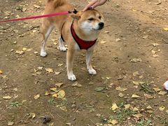 -钓鱼台国宾馆