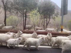 -百里山水画廊乌龙峡谷