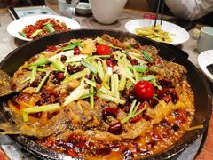 -老板恋上鱼(恒隆广场店)