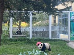 -西安秦岭野生动物园