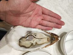 -大东海海鲜酒楼(渔人码头总店)