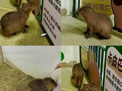 -盈香心动乐园
