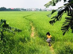 -崖口煲仔饭