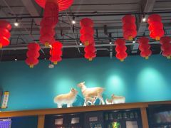 -大白羊蝎子馆(后沙峪山姆店)