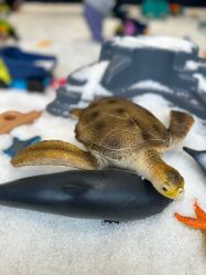 -超级奈尔宝SUPER NEOBIO(杭州星光店)