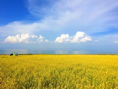 -青海湖国家重点风景名胜区