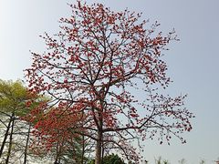 -晓港公园