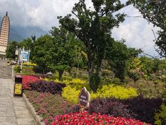 -崇圣寺三塔文化旅游区