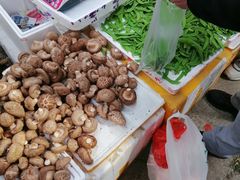 -上海浦南农副产品批发市场