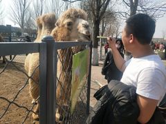 -长白岛森林公园