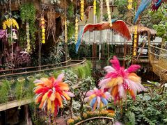 -正佳雨林生态植物园