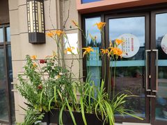 -柳大厨螺蛳粉(人民路总店)