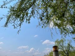 -长春市南湖公园