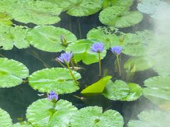 -重元寺香积厨素斋馆