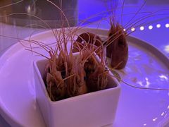 -木守西溪溪隐餐厅