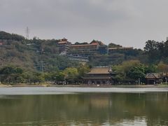 -顺峰山公园