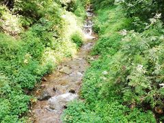 -天女山森林公园