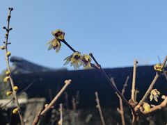 -颐和园