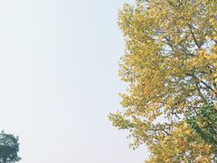 -钟山体育运动公园
