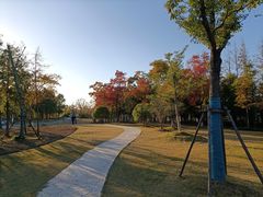 -上海长兴岛郊野公园