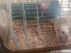 -宠爱我(南山店)