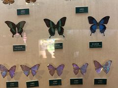 -陕西自然博物馆