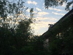 -丹樱生态园