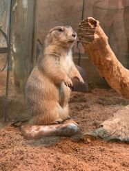 -Zoolung Zoolung动物主题公园(海信广场店)