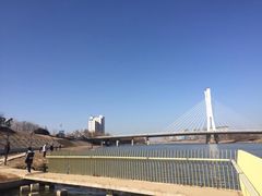 -沙颍河公园
