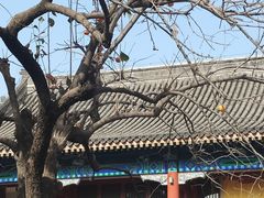 -北京石刻艺术博物馆(五塔寺)