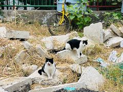 -太阳宫公园