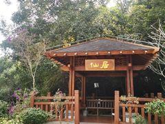 -广州白江湖森林公园