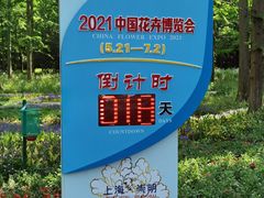 -东平国家森林公园