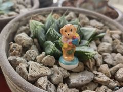 -老梦面包CHEZMOREL(麦子店)