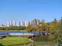 -广东花都湖国家湿地公园