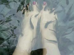 -三亚珠江南田温泉度假区