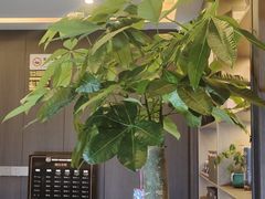 -鹿栖.精油SPA(金山世纪城店)