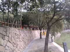-九鲤湖风景区