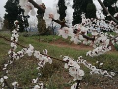 -金堂县云顶石城风景区