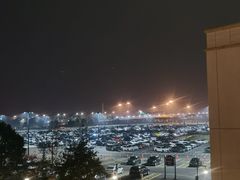 -迪士尼乐园停车场