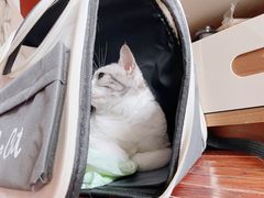-德元·美联众合24小时动物医院(总院)