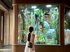 -帕帕拉兹宠物(亚洲旗舰店)