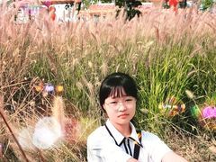 -天津东丽湖风景区