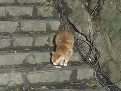 -天怡·鱼工厂(梅溪湖店)