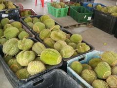 -阿龙榴莲摊