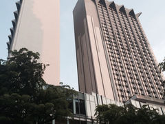 酒店外观-新加坡乌节希尔顿酒店 (SG Clean)