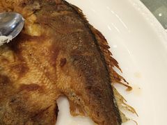 -龙悦湾酒家·八阵鱼生·渔人码头店