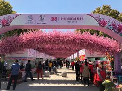 -南汇桃花村